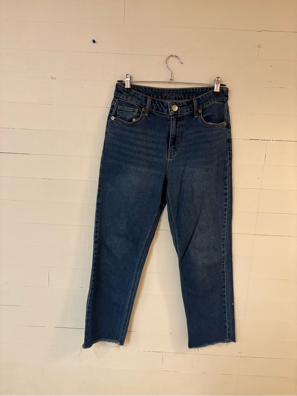 Wild Fable Size 4 High Rise Cropped Straight Leg Jeans Raw Hem Blue Denim